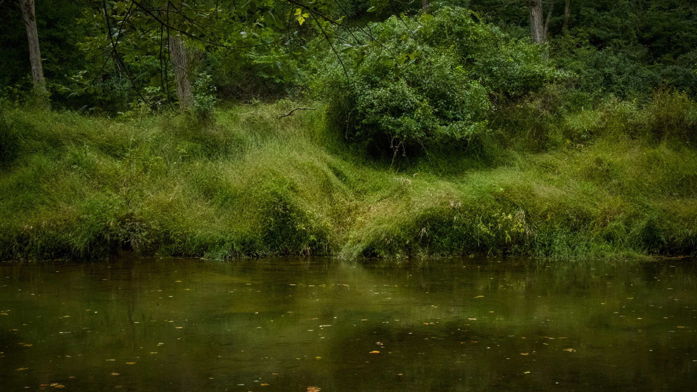 River Green