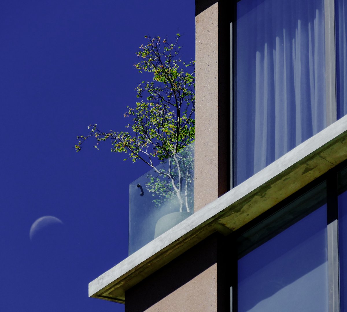 Frutiger Balcony - Costa Rica