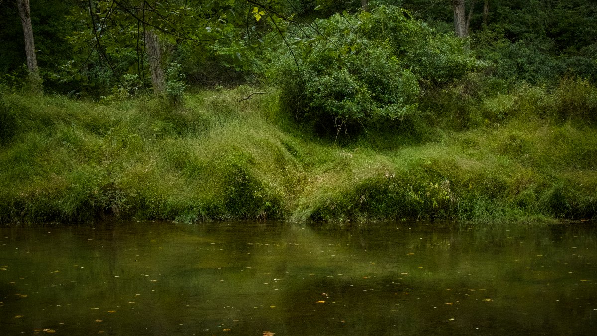 River Green