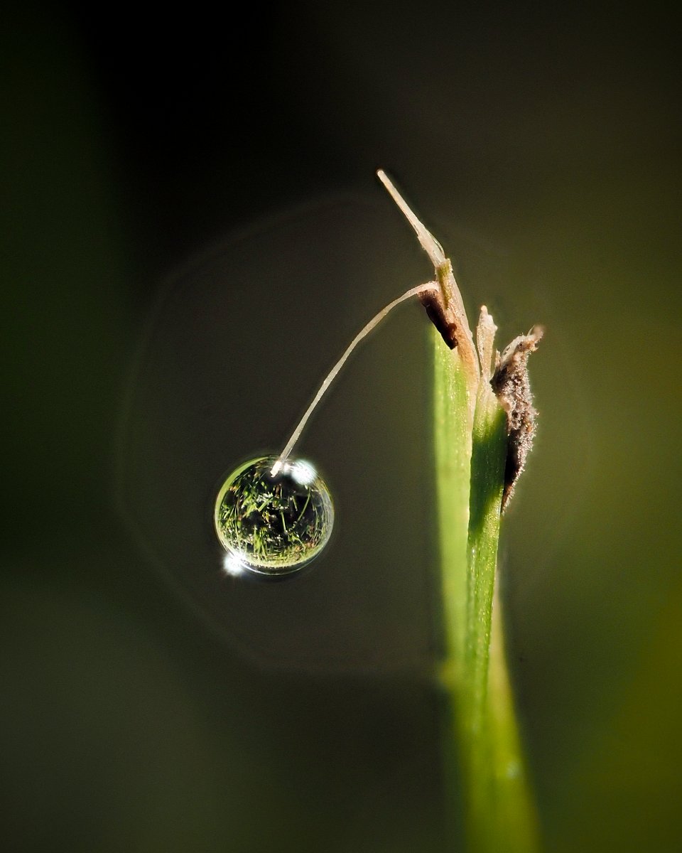 Hanging by a Thread